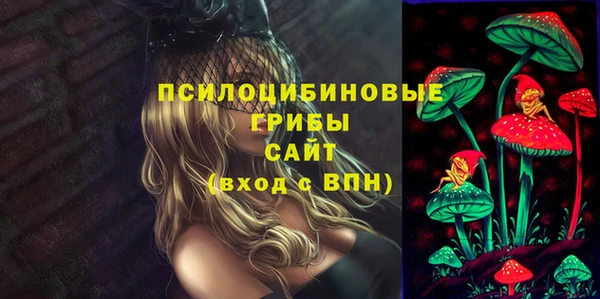 соль ск Абдулино
