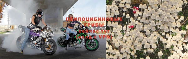 ГАЛЛЮЦИНОГЕННЫЕ ГРИБЫ Новозыбков